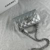 Chanel Mini Flap Bag  Metalic Silver