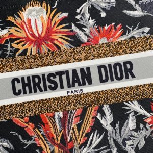 Christian Dior Book Tote Bag