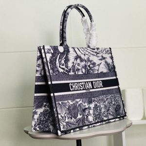 Dior Book Tote Bag