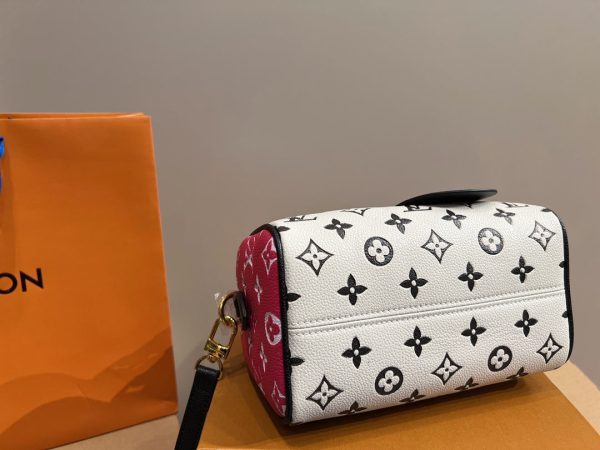 Louis Vuitton Spring in the city Speedy Bandouliere 20 M46088