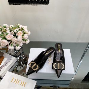 Christian Dior Oblique Mini Book Tote