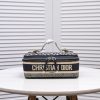 DIOR VANITY CASE BAG