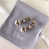 EN – Lux Earring Dir 025