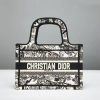 Small Dior Book Tote