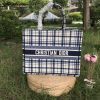 CHRISTIAN DIOR  Canvas Embroidered Large Check’n’Dior Book Tote Blue