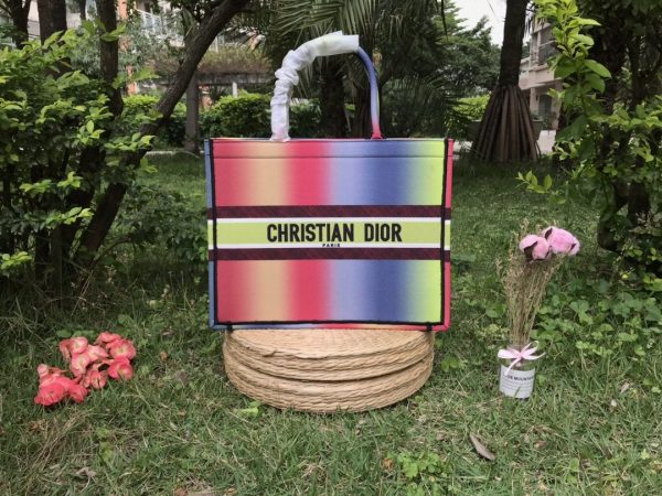 Christian Dior Medium Book Tote