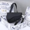 Dior Saddle Bag