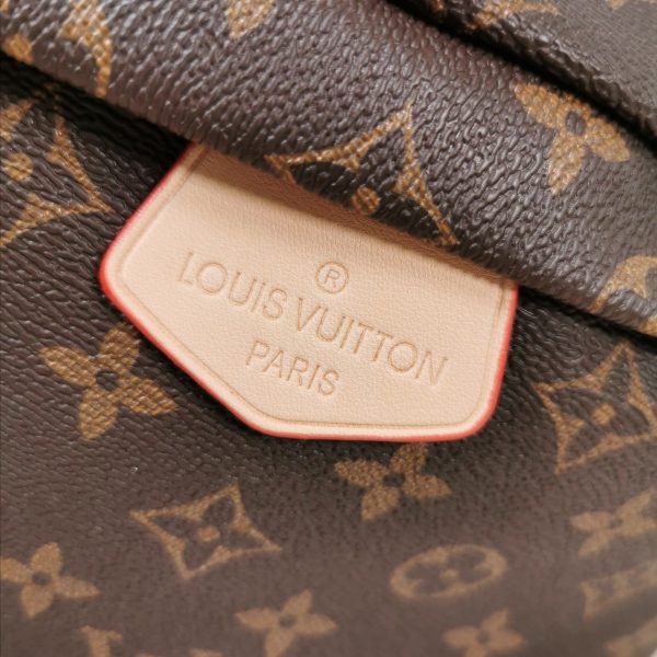 Louis Vuitton BUMBAG LV MONOGRAM