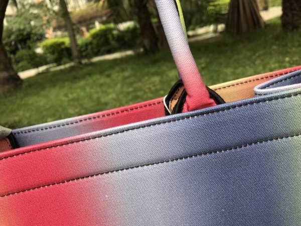 Christian Dior Medium Book Tote