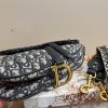 DIOR SADDLE BAG SUPER