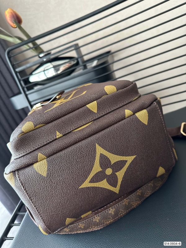 LV Brown Backpack