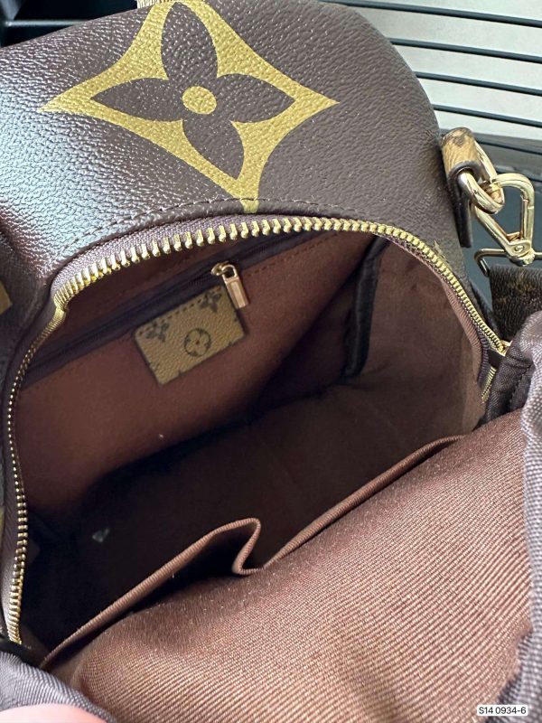 LV Brown Backpack