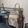 LV Brown Backpack