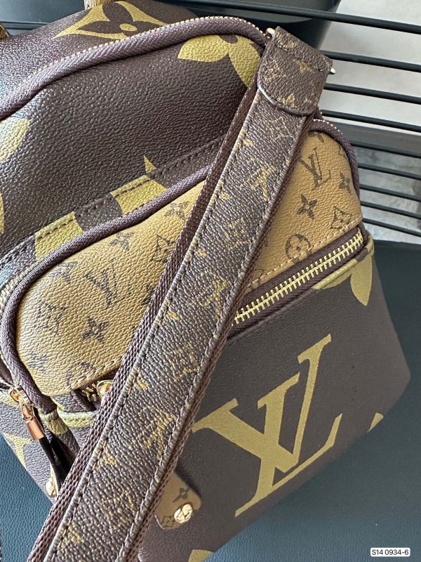 LV Brown Backpack