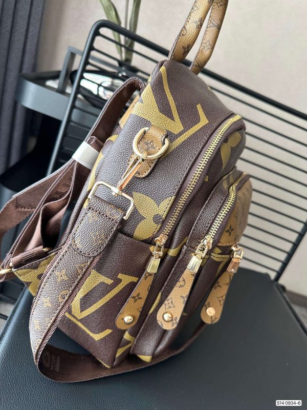 LV Brown Backpack