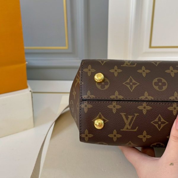 LOUIS VUITTON CLUNY BAG VIVIENNE RABBIT MONOGRAM BROWN 29CM