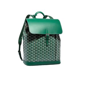 GOYARD ALPIN MM BACKPACK GREEN 40CM ALPIN2MINTY09CL09P