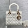 Dior Small Lady Bag