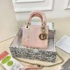 EL2050 Dior bag