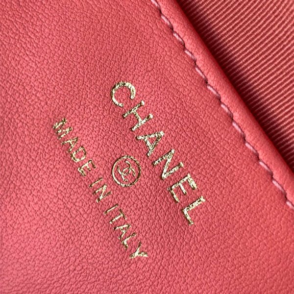 CHANEL Classic Chain Hobo