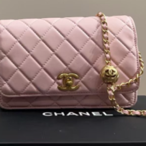 EL2109C – New Chanel Adjustable Strap WOC