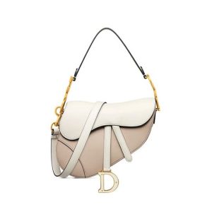 Dior Saddle Bag with Strap